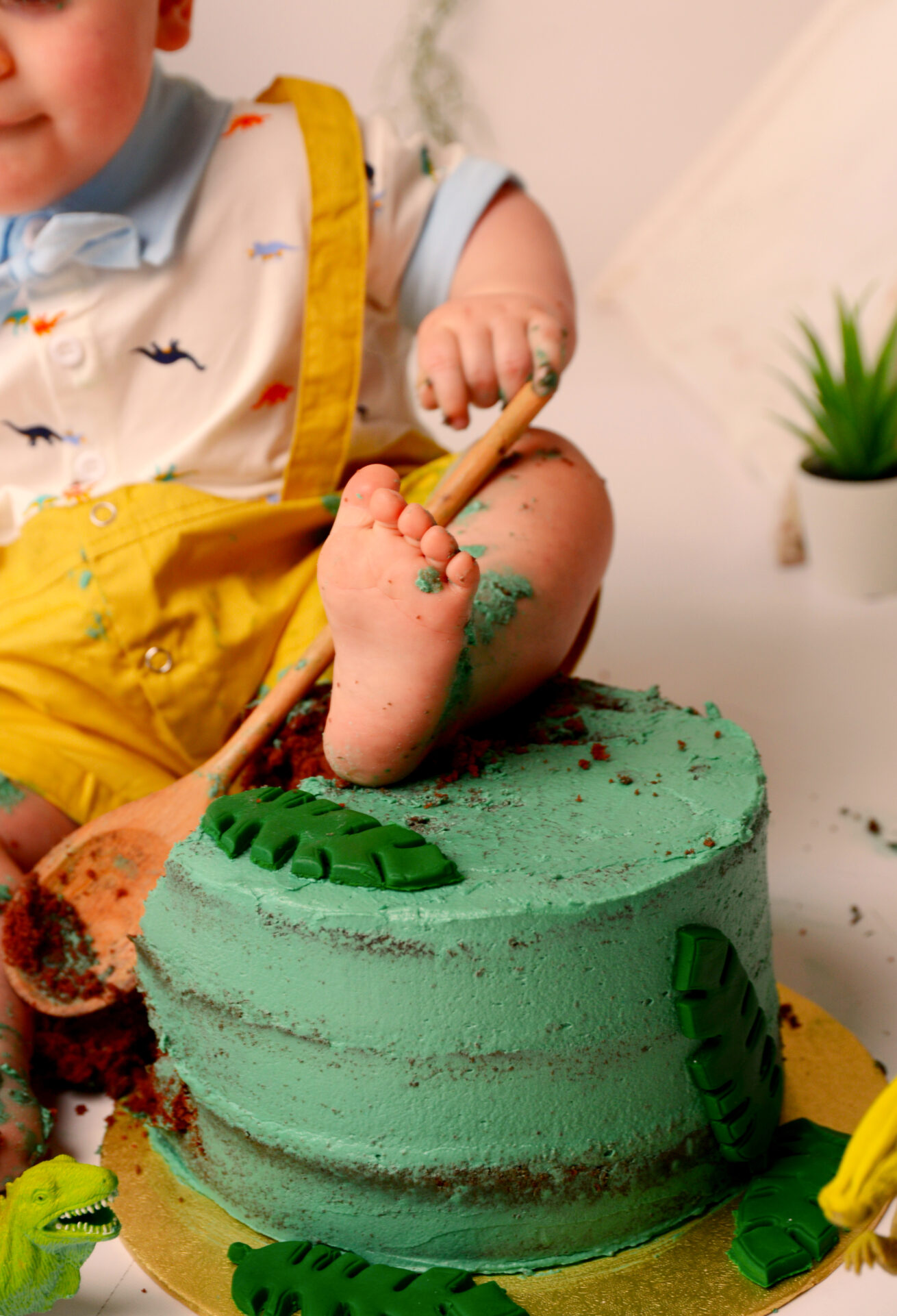 Cake Smash